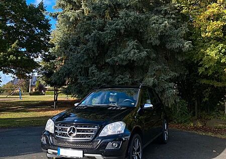 Mercedes-Benz ML 320 gebraucht kaufen Mercedes-Benz ML 320