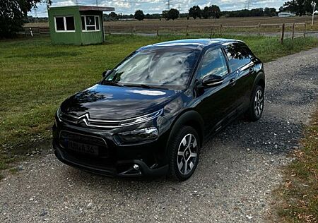Citroën C4 Cactus BlueHDi 100 S&S Shine Shine