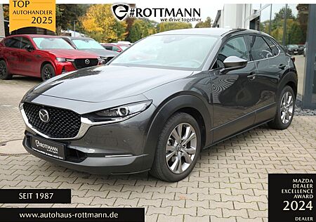 Mazda CX-30 2.0 DESIGN/ACTIV-P A18 ACC/360°/NAV/WR/AHK