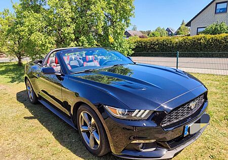 Ford Mustang V6 Cabriolet
