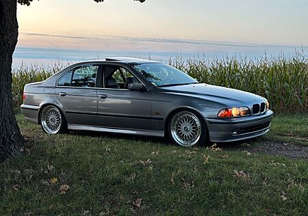 BMW 523 E39 - Liebhaber Fahrzeug - 8-fach Bereift