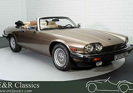 Jaguar XJS Cabrio | Oberer Zustand | voll-ausstattung |