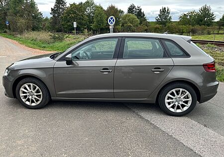Audi A3 1.6 TDI Attraction Sportback Attraction