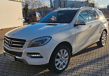 Mercedes-Benz ML 350 CDI BlueTec, AHK 3,5t