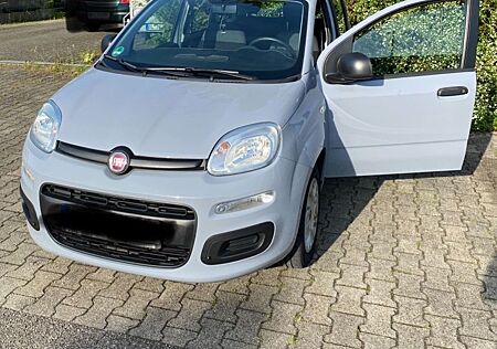 Fiat New Panda 1.2 8V EASY