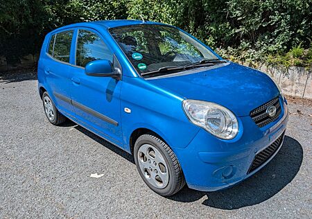 Kia Picanto - 8-fach bereift - HU bis 03/2027