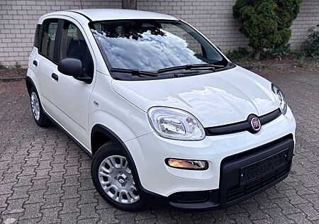 Fiat Panda Pandina Cross 1.0 Mild-Hybrid / PDC