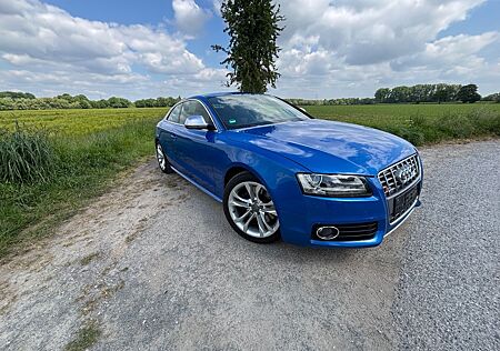 Audi S5 4,2 FSI quat. Nav Xenon PDC Teilleder