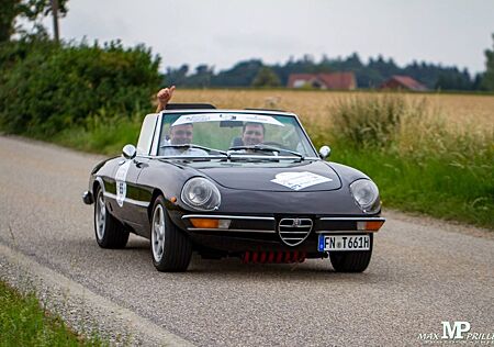 Alfa Romeo Spider