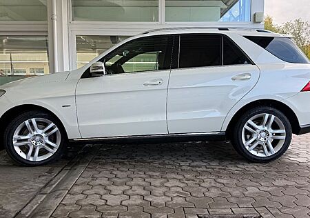Mercedes-Benz ML 350 4MATIC BlueEFFICIENCY -