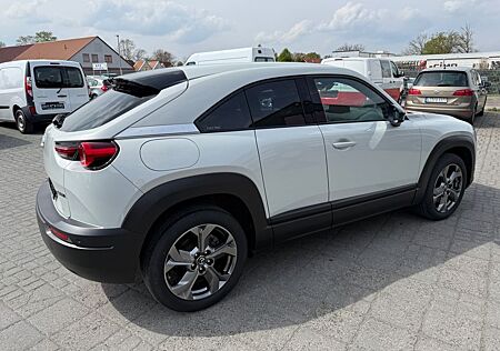 Mazda MX-30 NAVI-Teilleder-Kamera-LED-1 Hand