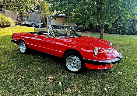 Alfa Romeo Spider 115 Oldtimer Zulassung