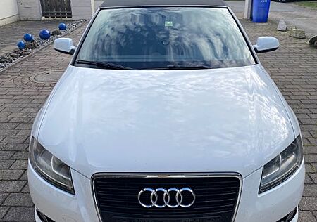 Audi A3 1.6 TDI Ambition Cabriolet Ambition