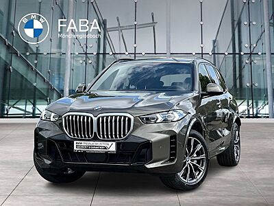 BMW X5 xDrive30d M Sportpaket Gestiksteuerung DAB