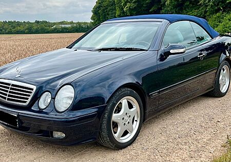 Mercedes-Benz CLK 230 KOMPRESSOR Cabriolet - Top Zustand