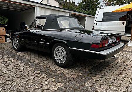 Alfa Romeo Spider
