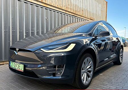Tesla Model X RAVEN 7 person 100kwh