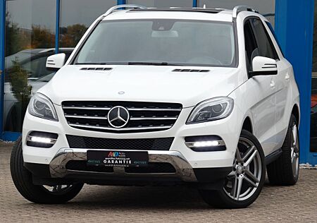 Mercedes-Benz ML 350 gebraucht kaufen Mercedes-Benz ML 350 ML -Klasse CDI BlueTec