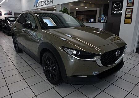 Mazda CX-30 e-SKYACTIV G 140 6AT FWD Homura, VFW, Zirk