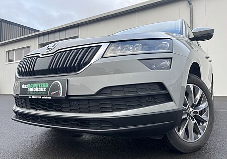 Skoda Karoq 2.0 TDI Ambition Clever 131€ m.20% Anz. Na