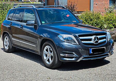 Mercedes-Benz GLK 250 BlueTEC 4MATIC - AHK, Panorama