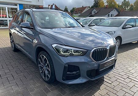 BMW X1 sDrive 20 d M Sport PANO PDC CAM