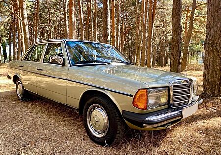 Mercedes-Benz 300 300d w123