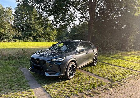 Cupra Formentor gebraucht kaufen Cupra Formentor 2.0 TSI 228kW VZ 4Drive DSG VZ