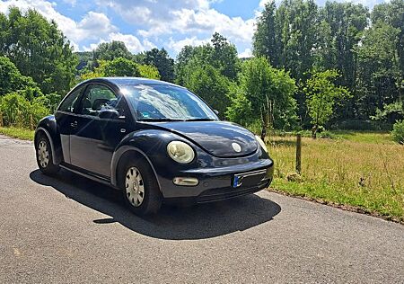 VW New Beetle Volkswagen Beetle, Ez.: 2000, KM-Stand: 120.000