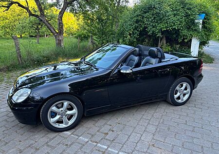 Mercedes-Benz SLK 320 - V6 BOSE LEDER XENON SITZHEIZUNG