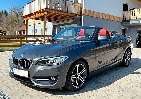 BMW 220d Cabrio Sport Leder Xenon Windschott Navi