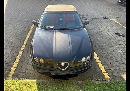 Alfa Romeo Spider gebraucht kaufen Alfa Romeo Spider 3.0 V6 -
