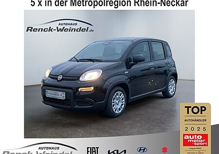 Fiat New Panda Pandina Cross 1.0 DAB Spurhalteass. Verkehrszeic