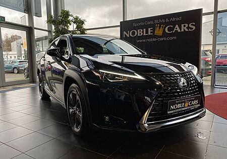 Lexus UX 250h Launch Edition KLIMA LED NAV SHZ ALU