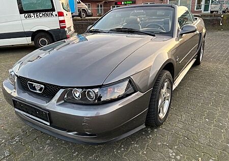 Ford Mustang V6 KLIMA TÜV NEU LEDER AUTOMATIK