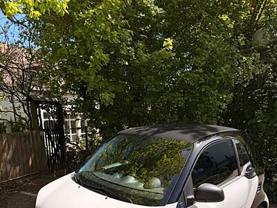 Smart ForTwo coupé 41kW EQ Batterie - aus erster Hand