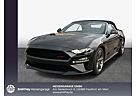 Ford Mustang Convertible 5.0 Ti-VCT V8 Aut. GT 330 kW