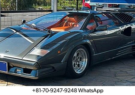 Lamborghini Countach 25th Anniversary