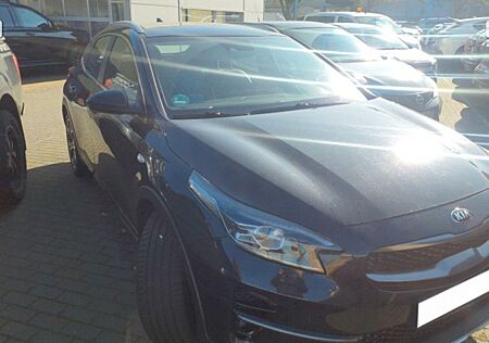 Kia XCeed Vision Navi 8-Fach bereift