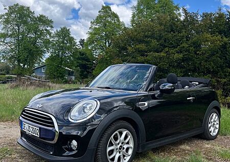 Mini Cooper D Cabrio Cooper Chili !TÜV NEU!