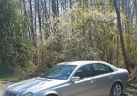 Mercedes-Benz E 240 ELEGANCE Elegance 2 Hand LPG