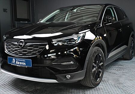 Opel Grandland X /AHK/LED/RFK/PANO