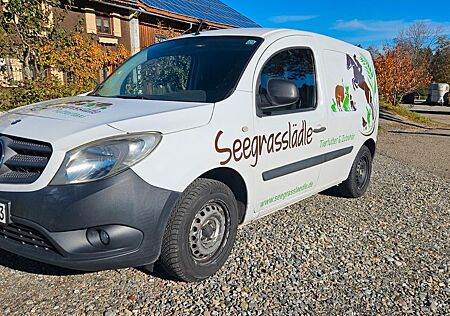 Mercedes-Benz Citan gebraucht kaufen Mercedes-Benz Citan