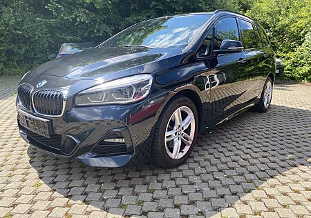 BMW 218 i Gran Tourer Navi Driv.Assistt Panoramadach