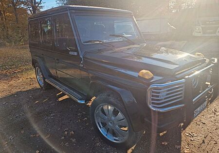 Mercedes-Benz G 300 W460 *nicht