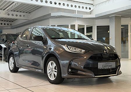 Mazda 2 Hybrid Agile 1.5 Navi Kamera LED Allwetter