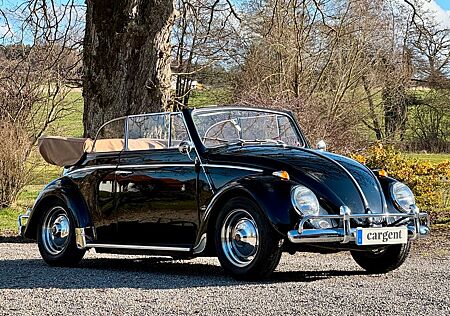 VW Käfer Volkswagen Cabriolet T1 Motor H-Zulassung