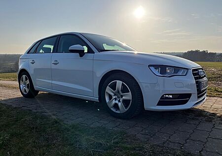 Audi A3 1.6 TDI ultra Attraction Sportback Attraction