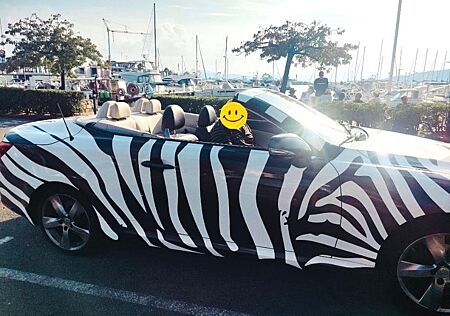 Lexus IS 250 250C -