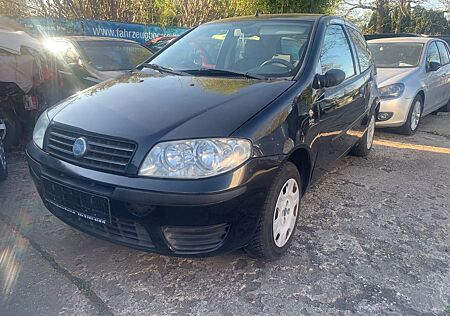 Fiat Punto 1.2 8V Active Clima Tüv + Inspektion neu